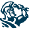 ServiceTitan logo